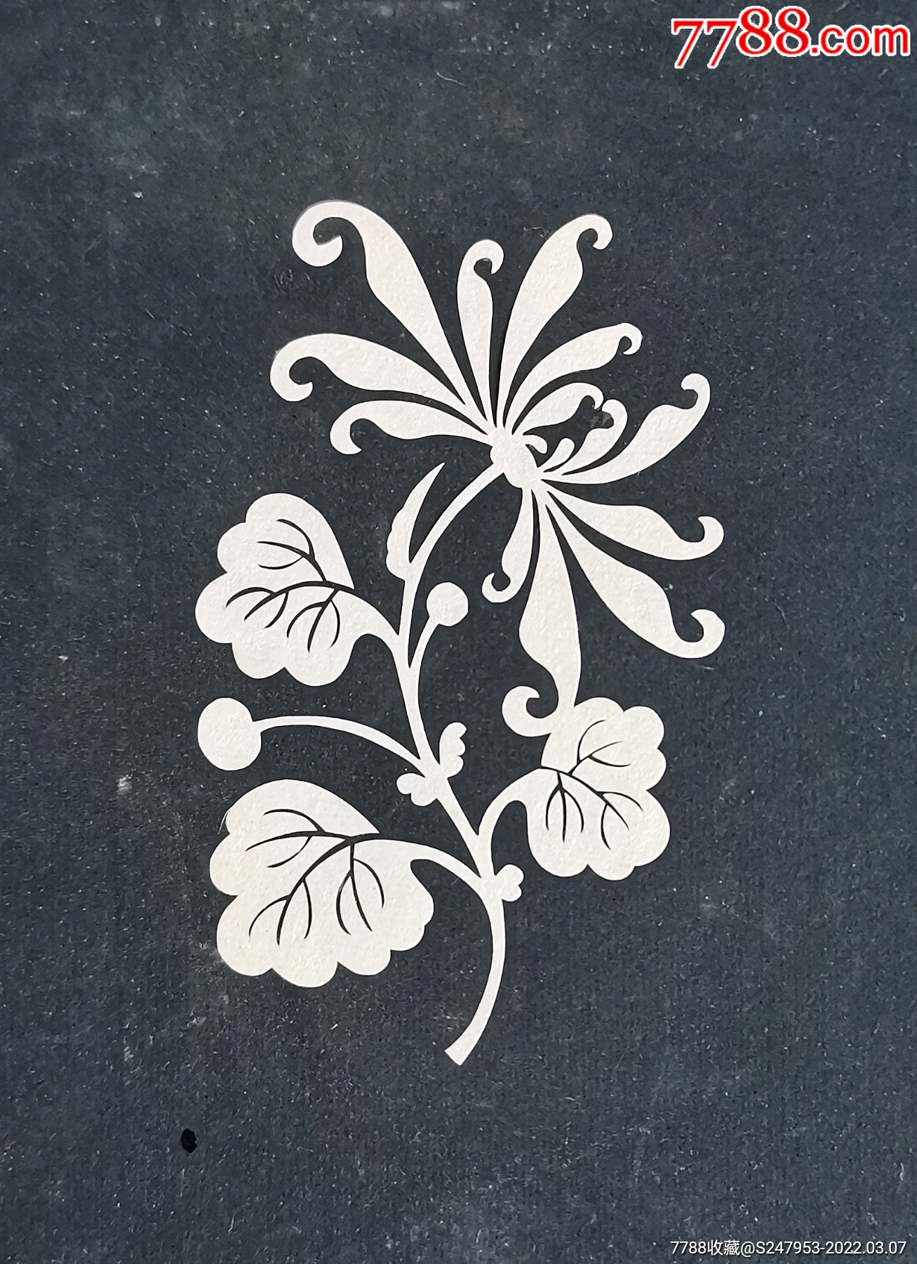 精品剪纸中国美术出版社早期存档资料托片