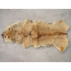 狗皮褥子