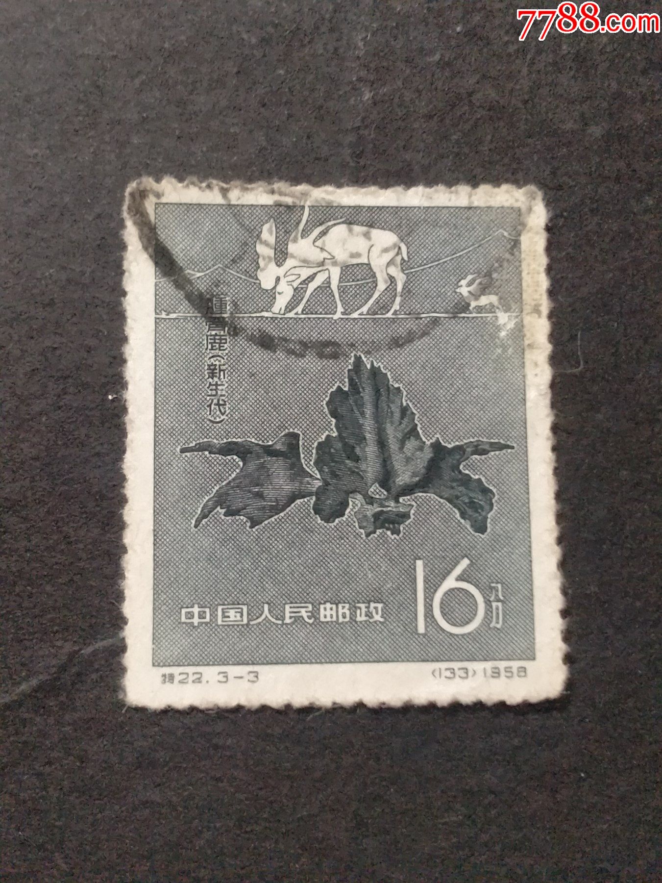 特22古生物-价格:5元-se85769960-新中国邮票-零售-7788收藏__收藏