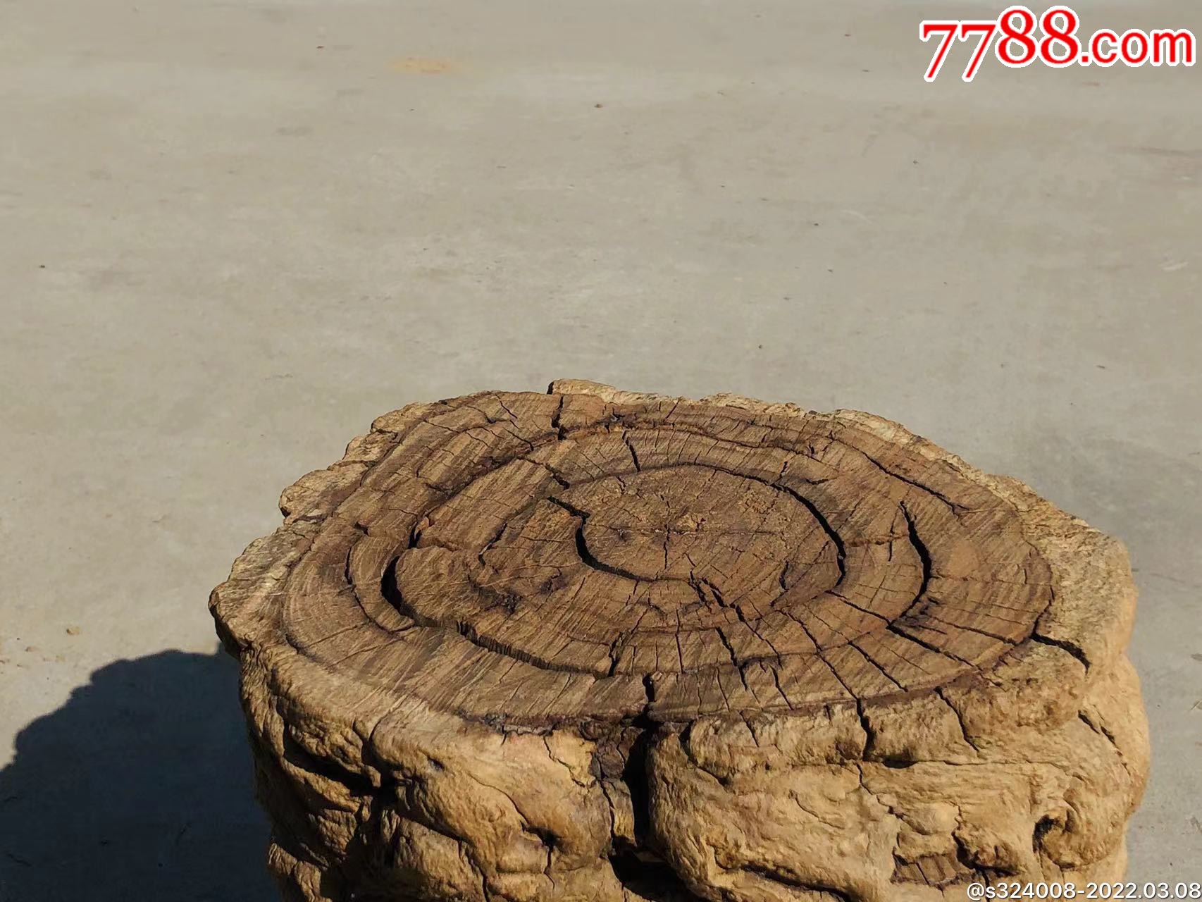 百年风化枣木墩