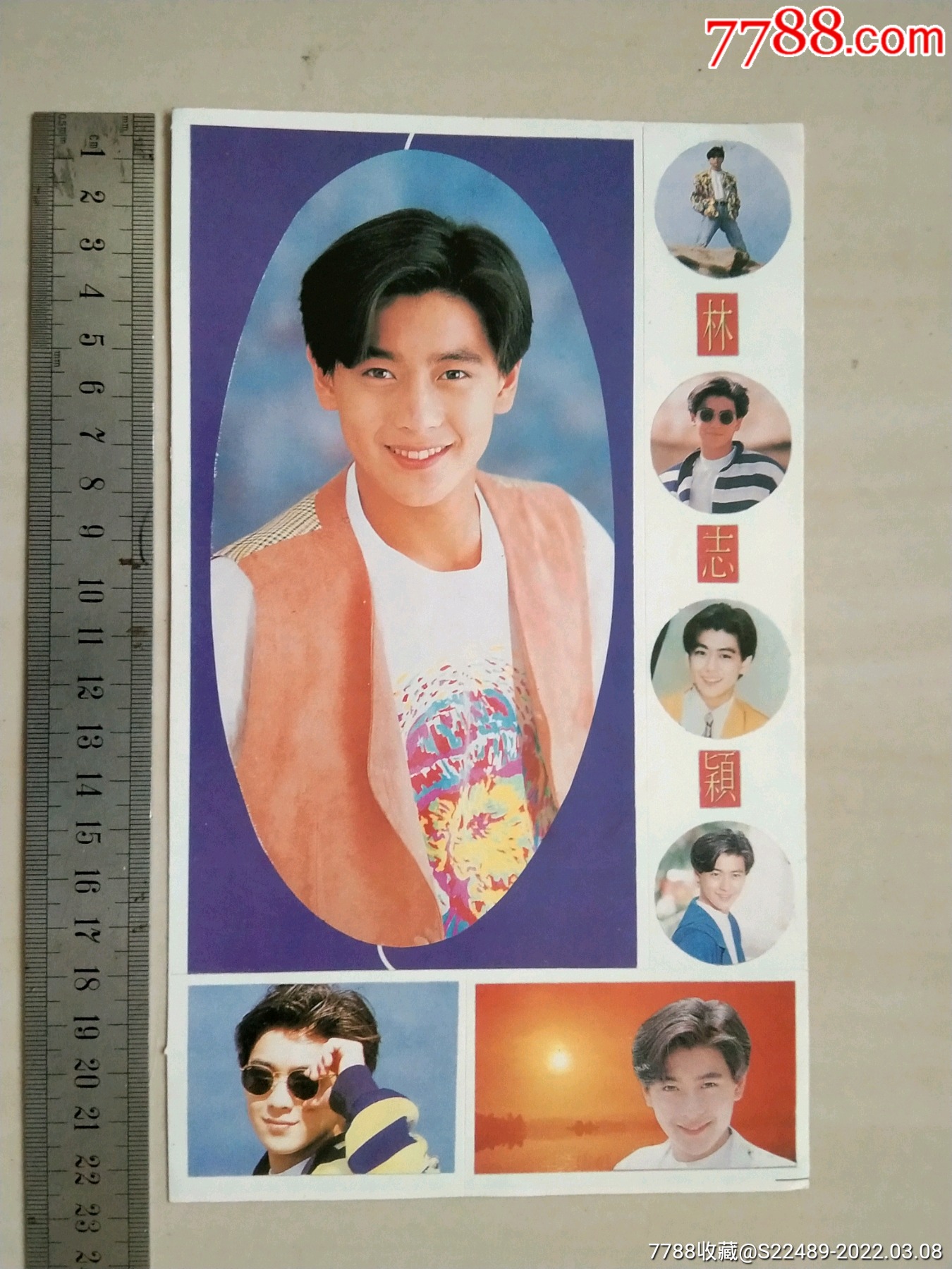 明星贴纸一张林志颖