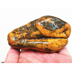 蛇头黑黄蜡石337