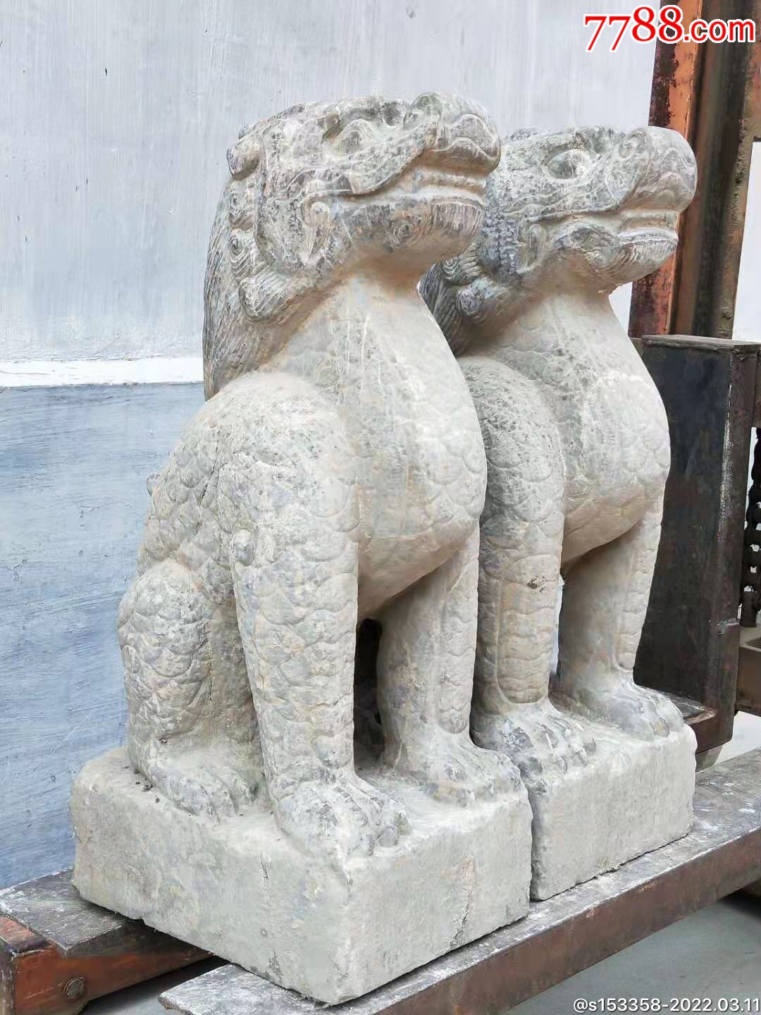 青石望天吼尺寸见图仰天长啸