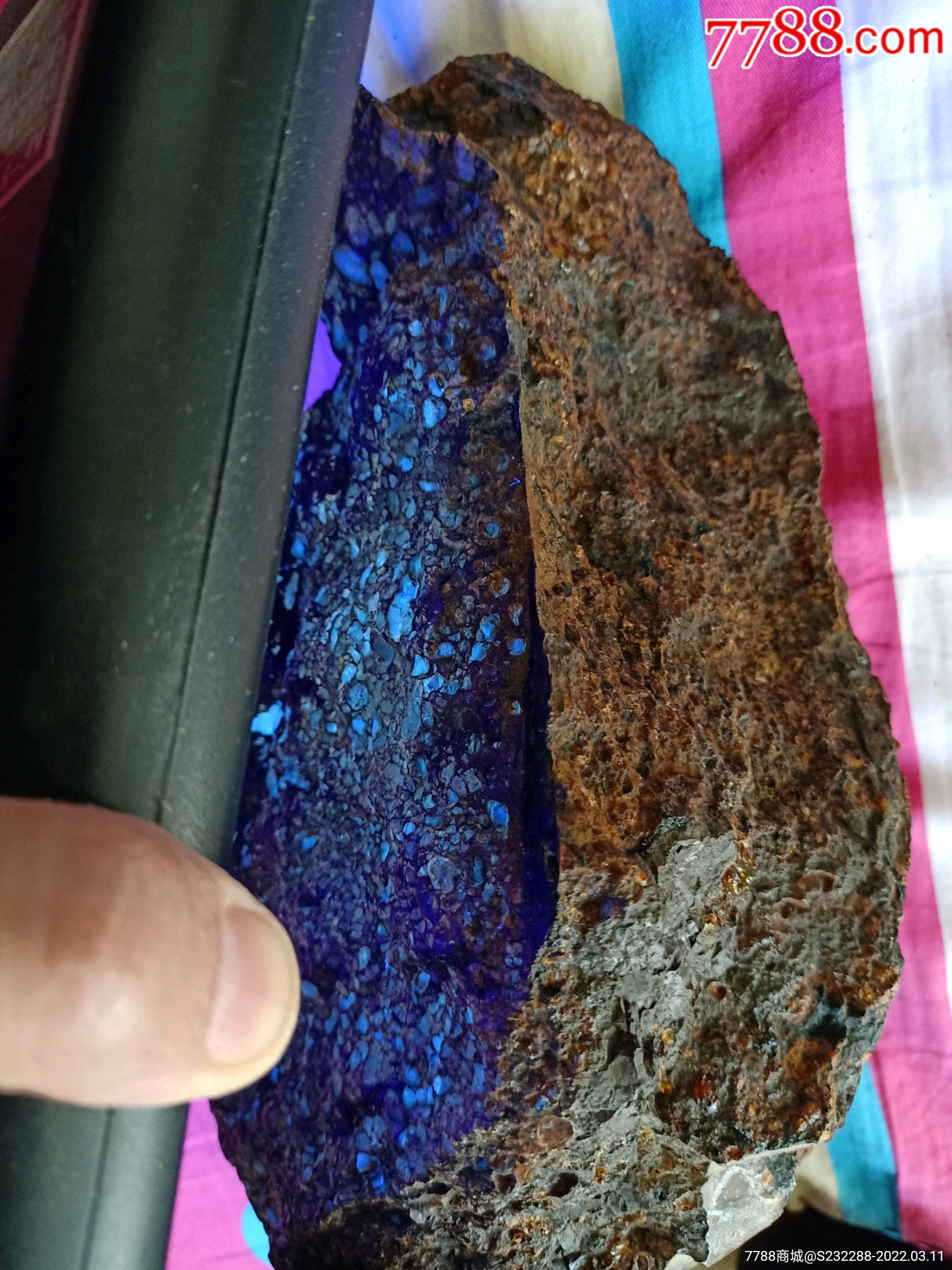 辽宁抚顺西露天矿特产琥珀伴生珀俗称煤黄线原生态大块原石