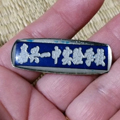 沈阳市实验中学校徽