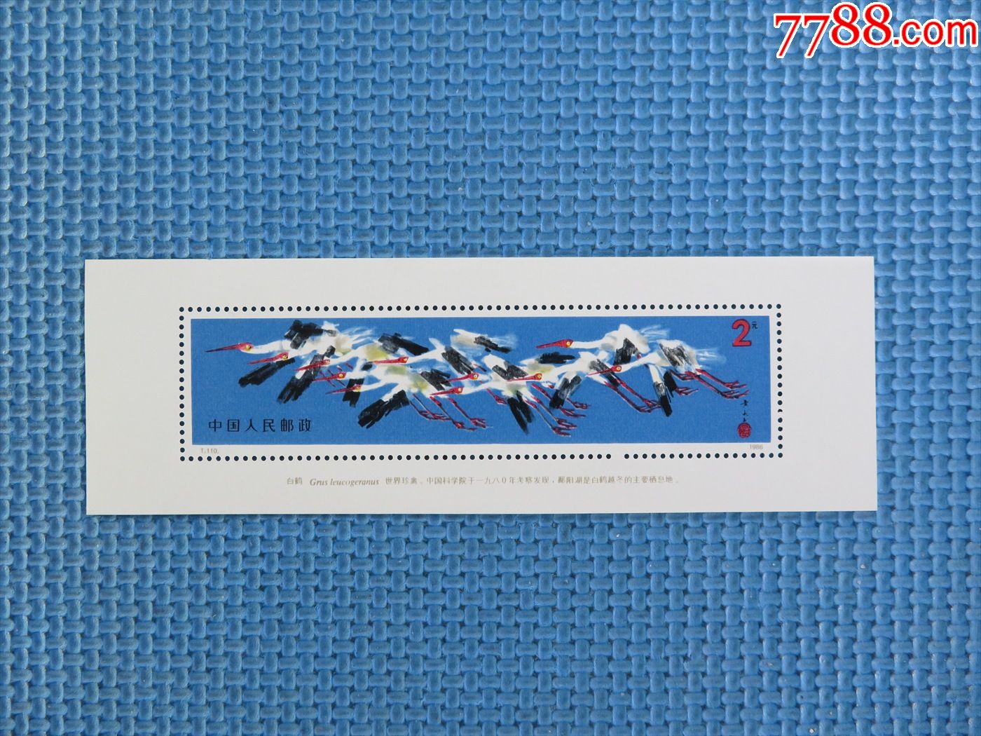 1986年t110m白鹤(小型张)一枚邮票_将来王者【7788商城__七七八八商品