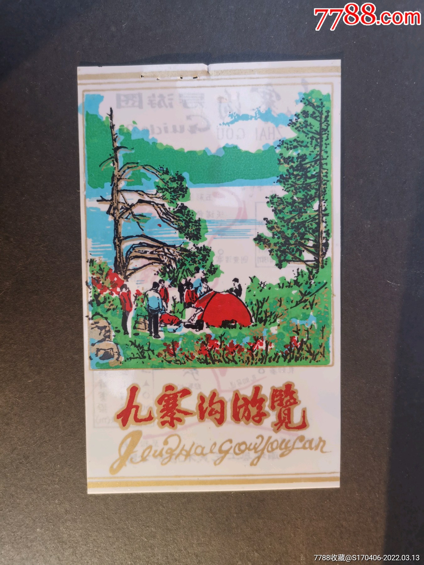 门票早期九寨沟游览旅游留念券四川少见塑料门票813厘米背面带当时