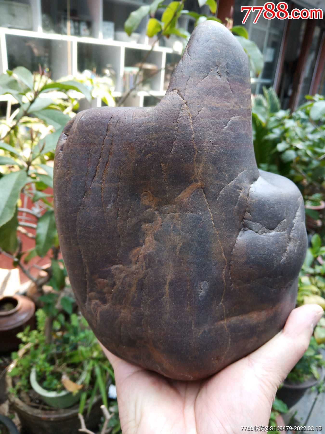 天然图案奇石(飞天)长江石摆件_价格350元_第1张_7788收藏__收藏热线