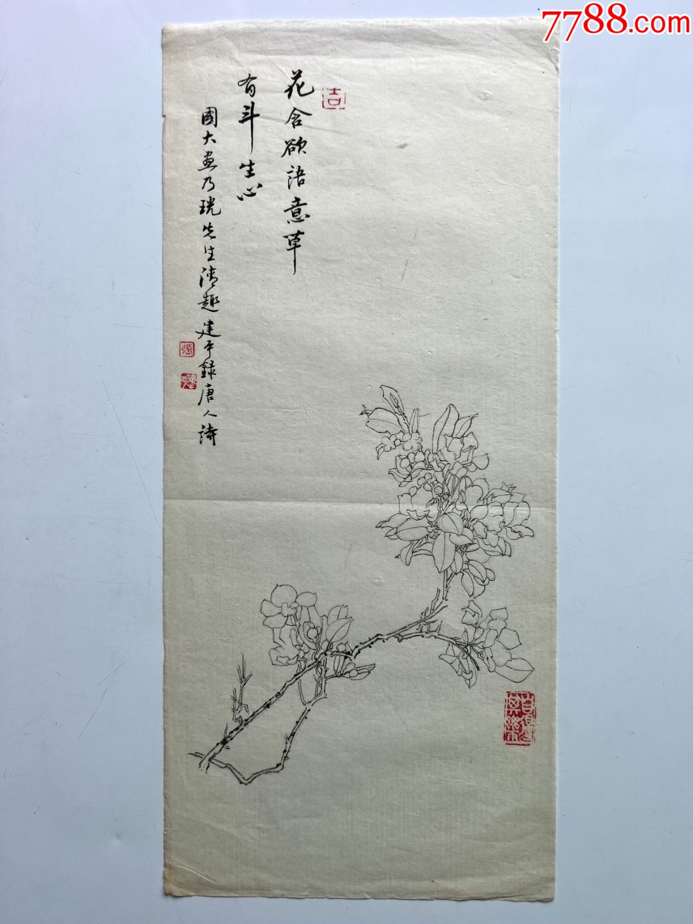 画家陈琦绘书法家张建平题诗白描国画画稿原稿花含欲语意