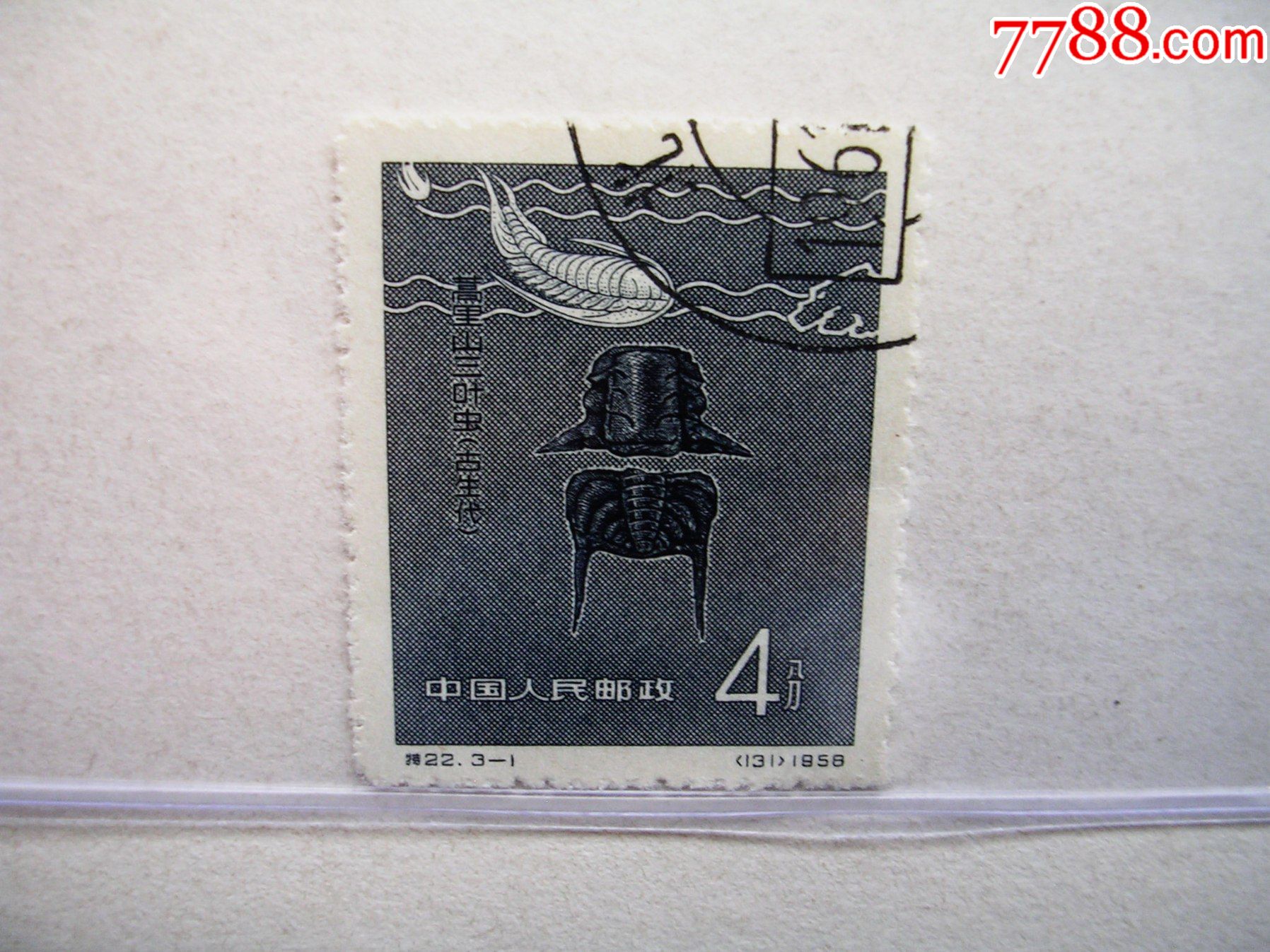 3-1(店号:jt006)-价格:3元-se85919728-新中国邮票-零售-7788收藏