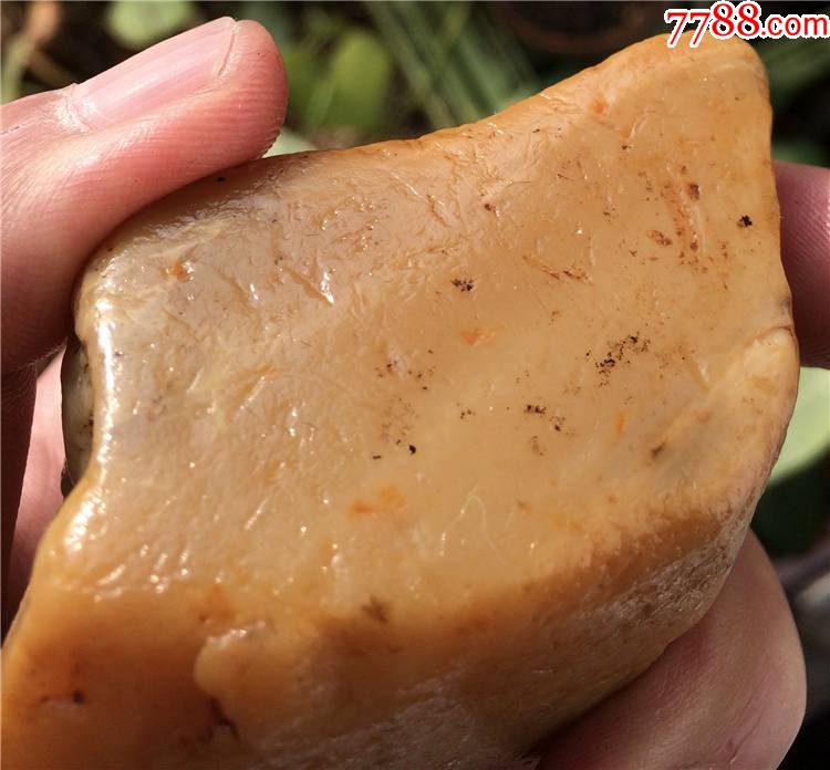 266克浙江昌化田黄石原石