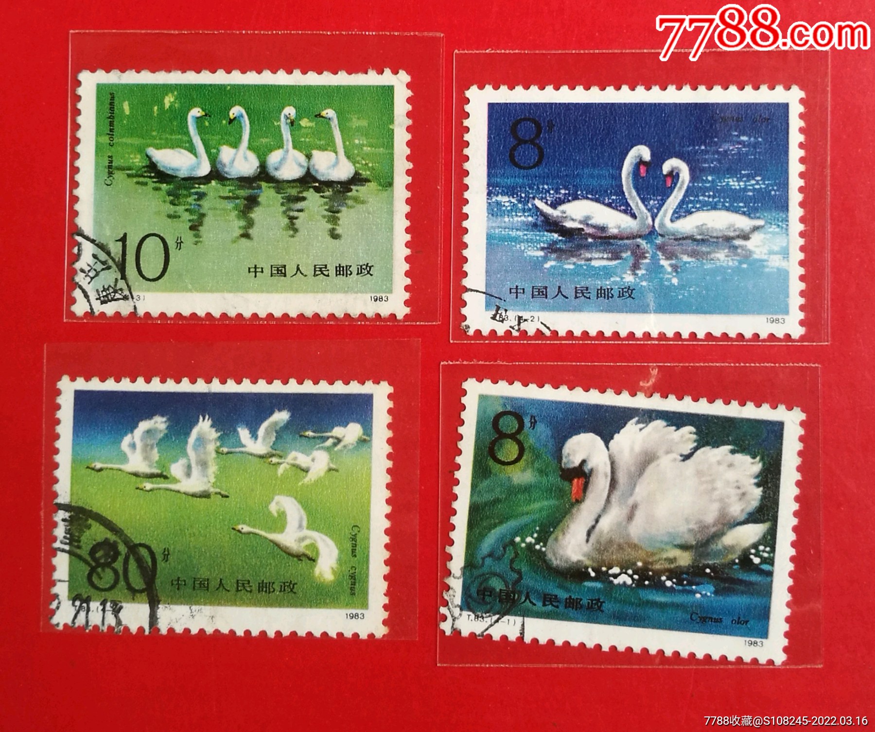 t83天鹅-价格:24元-se85985875-新中国邮票-零售-7788收藏__收藏热线