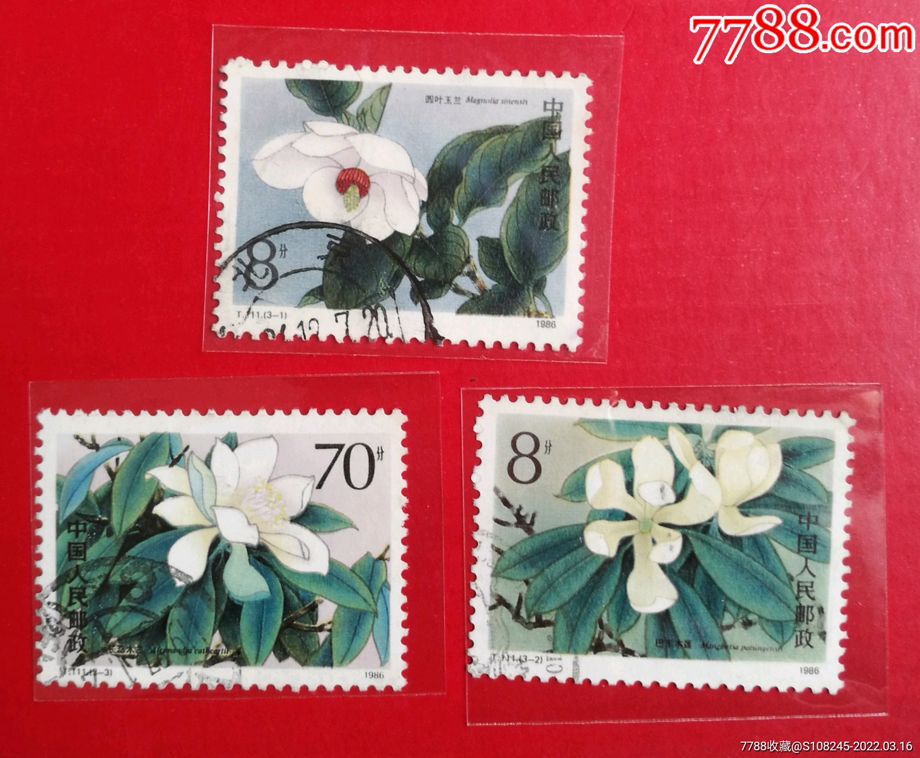 t111木兰_新中国邮票_怡兴邮市【7788收藏__收藏热线】