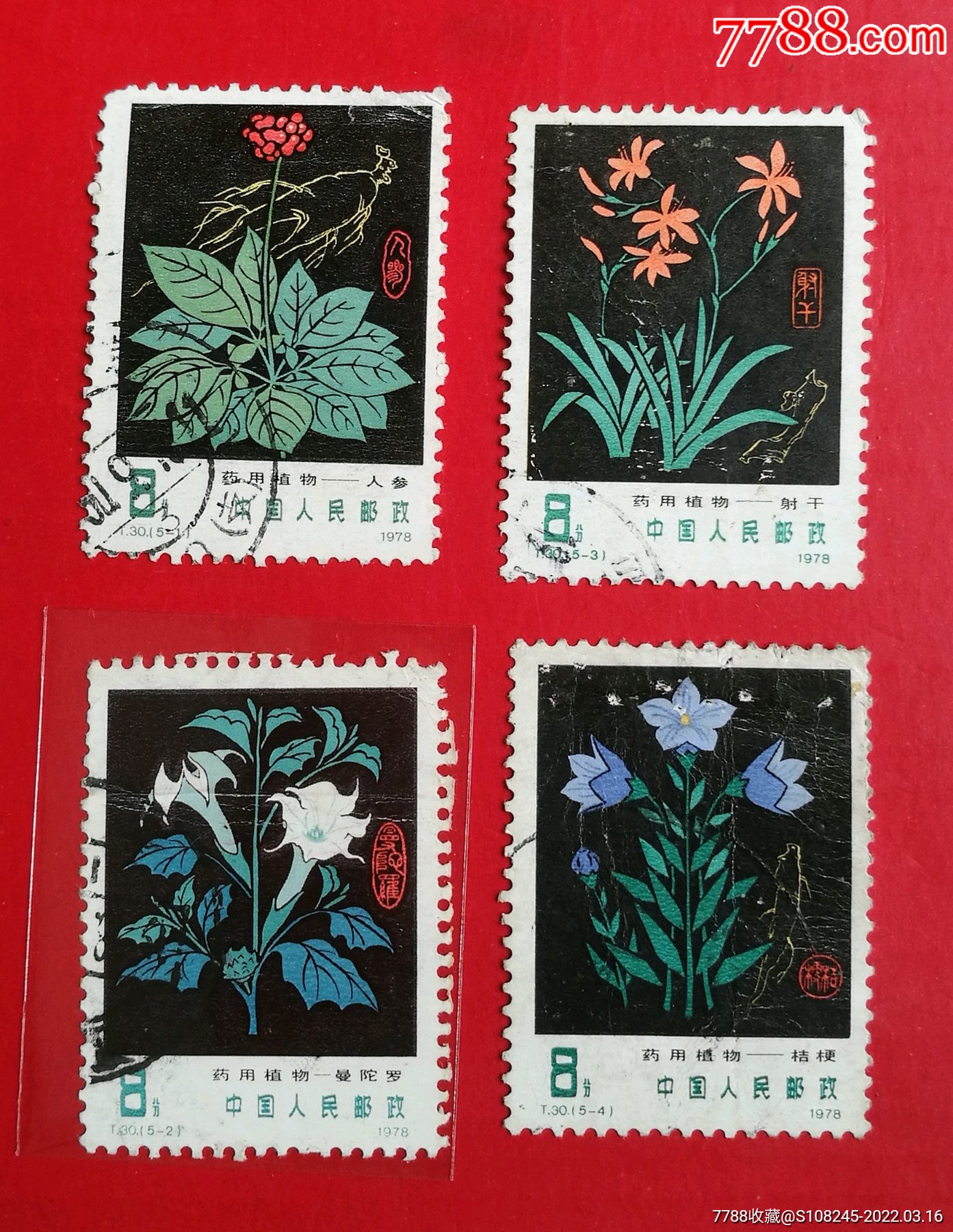 t30药用植物_新中国邮票_种类图片_收藏价格_7788茶具