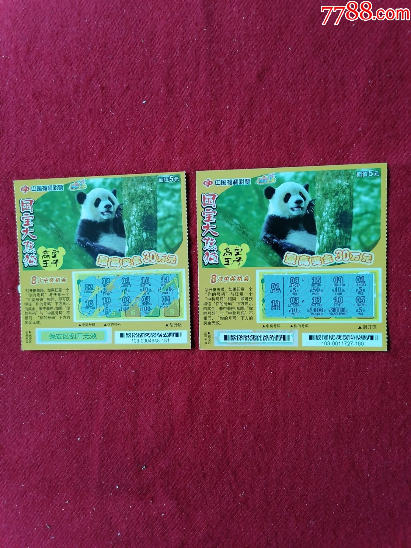 中国福利彩票国宝大熊猫