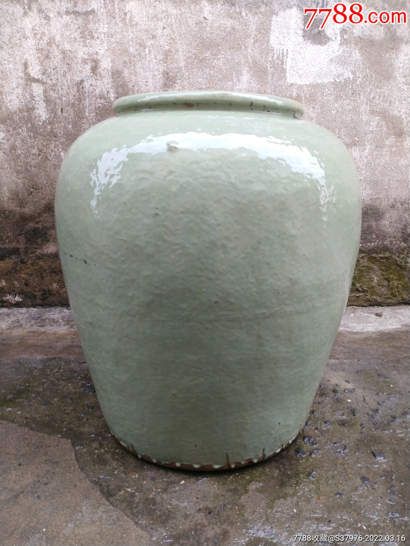 紫砂缸鱼缸水缸荷花缸