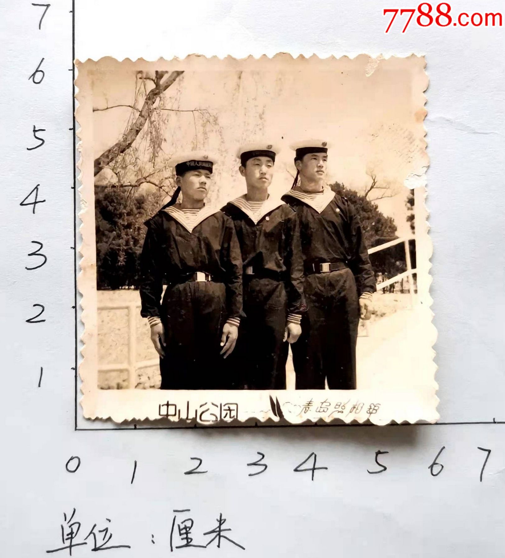 六十年代三名解放军海军战士在青岛中山公园合影黑白照片青岛照相馆
