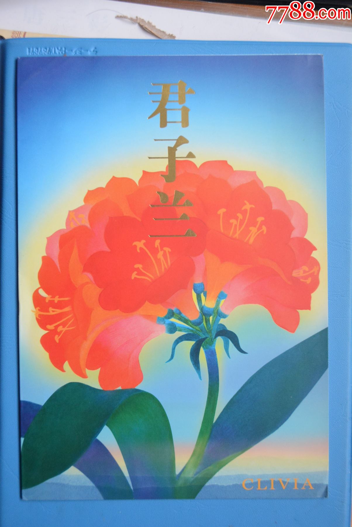 200024君子兰纪念邮折小型张邮票小全套上品新票邮票套票