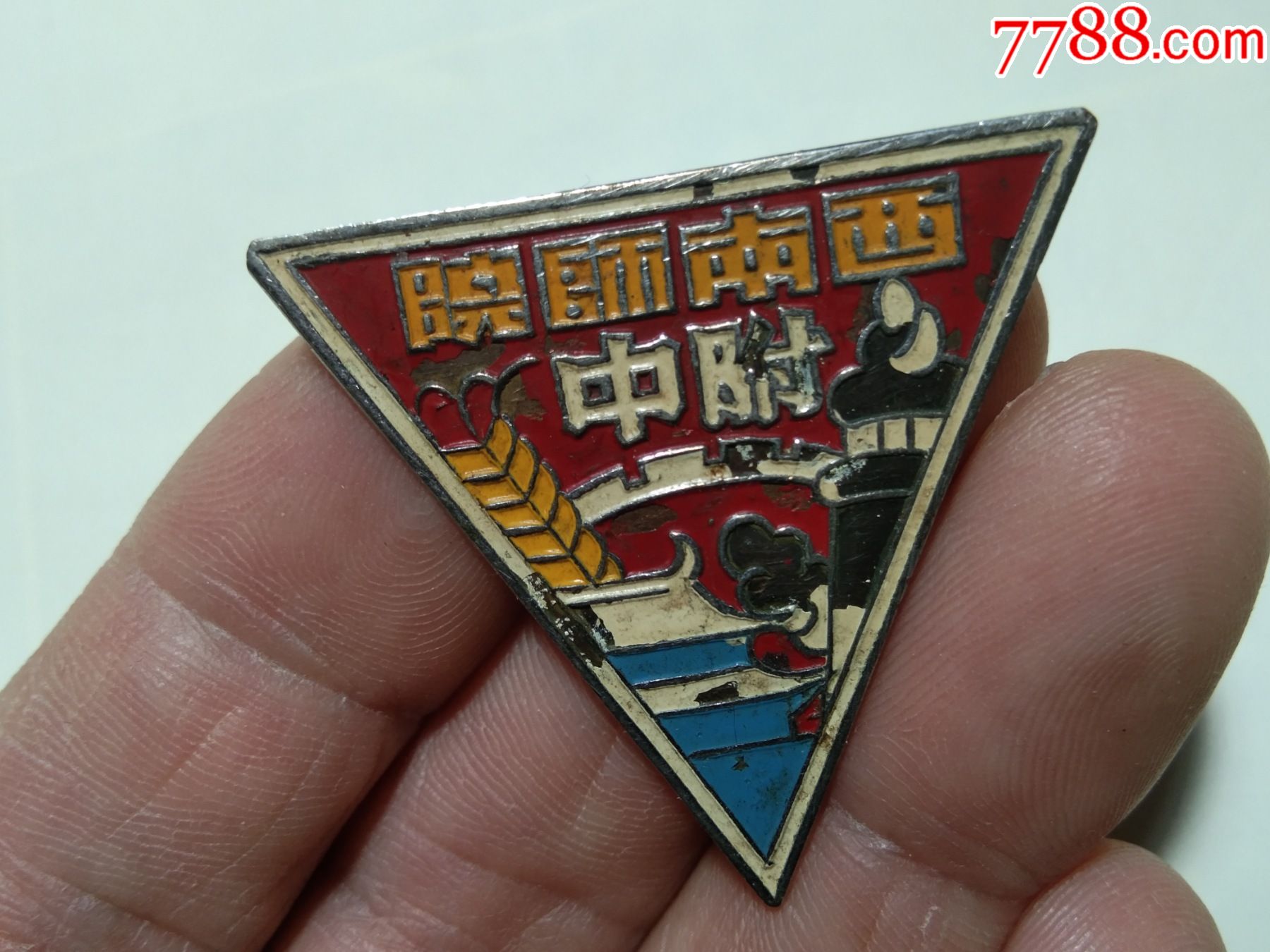 西南师院校徽章西南师范学院校徽证章纪念章