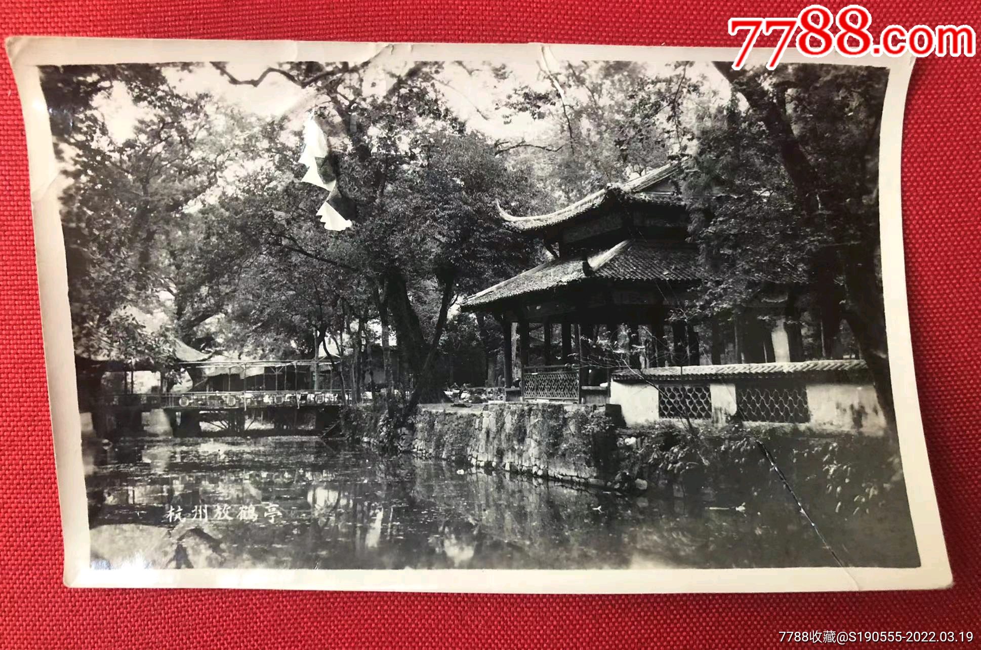 1961年杭州灵隐寺冷泉亭放鹤老照片一枚