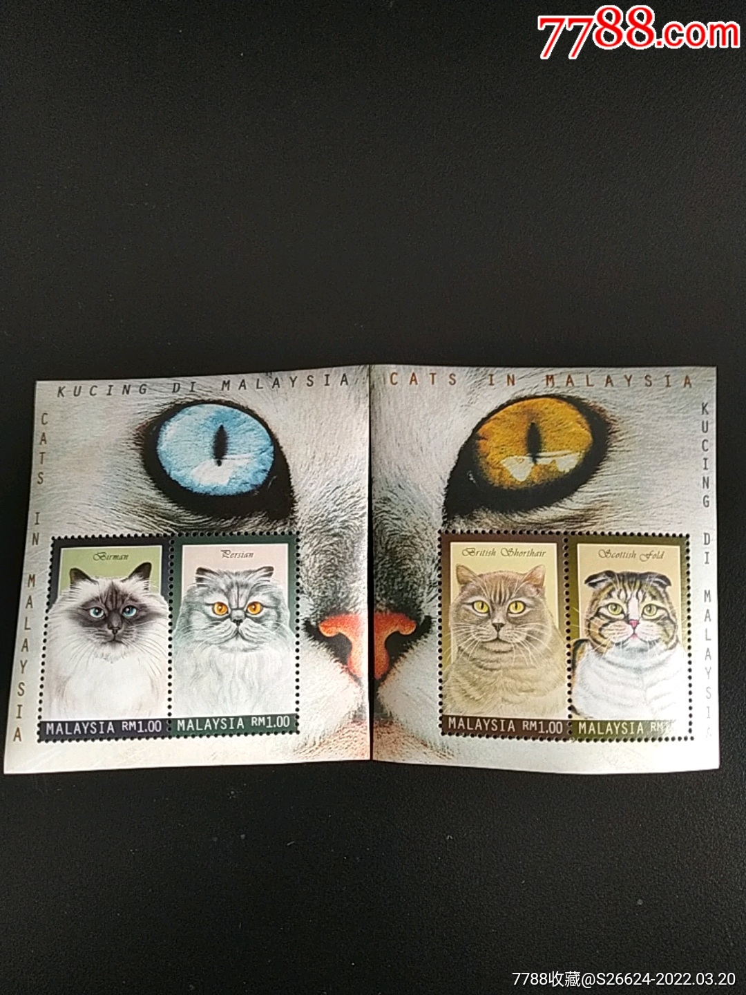 年马来西亚宠物猫一对猫眼全新小全张_亚洲邮票_第1张_7788铜器收藏