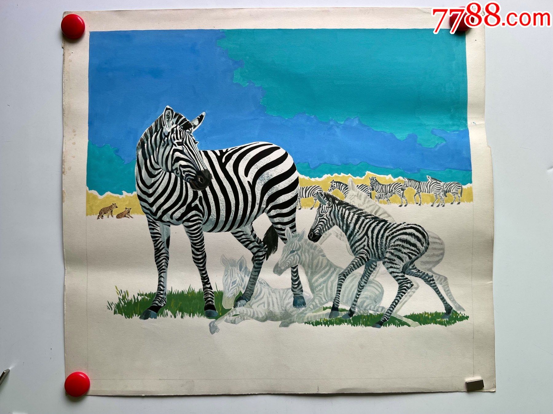 八十年代大幅手绘水粉动物画稿原稿斑马