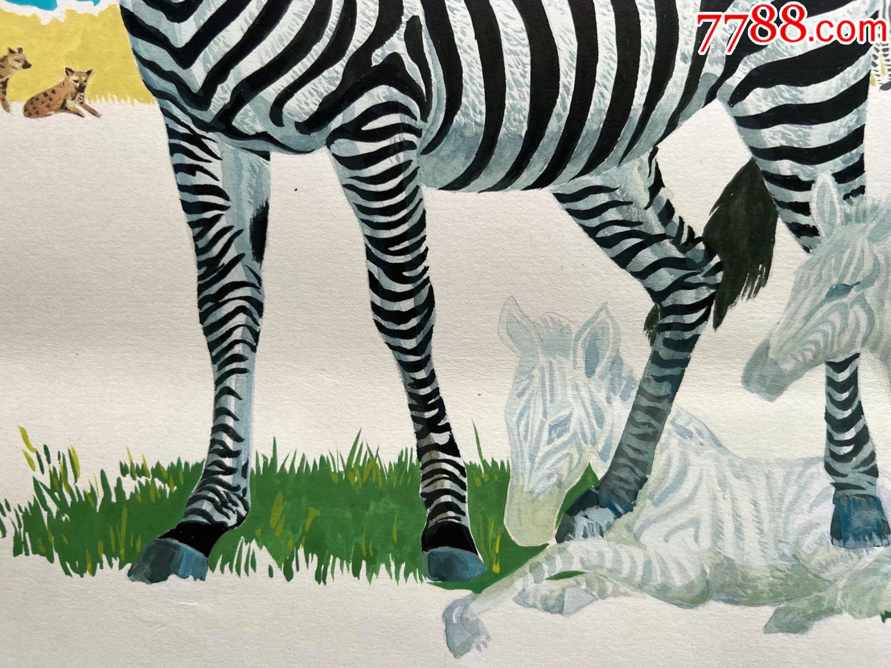八十年代大幅手绘水粉动物画稿原稿斑马
