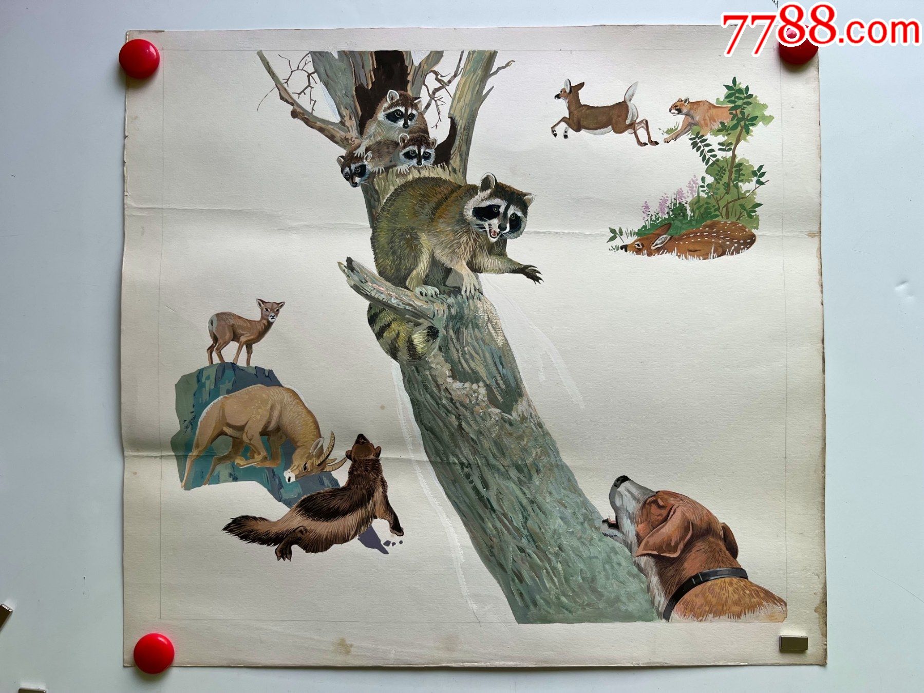 八九十年代大幅手绘水粉动物画稿原稿保护