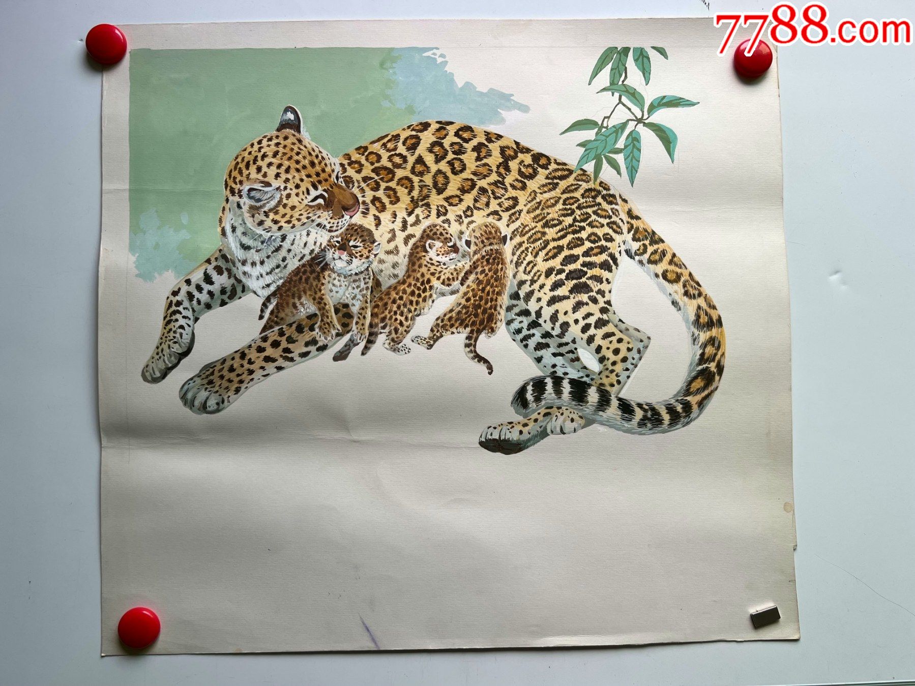 八十年代大幅手绘水粉动物画稿原稿金钱豹