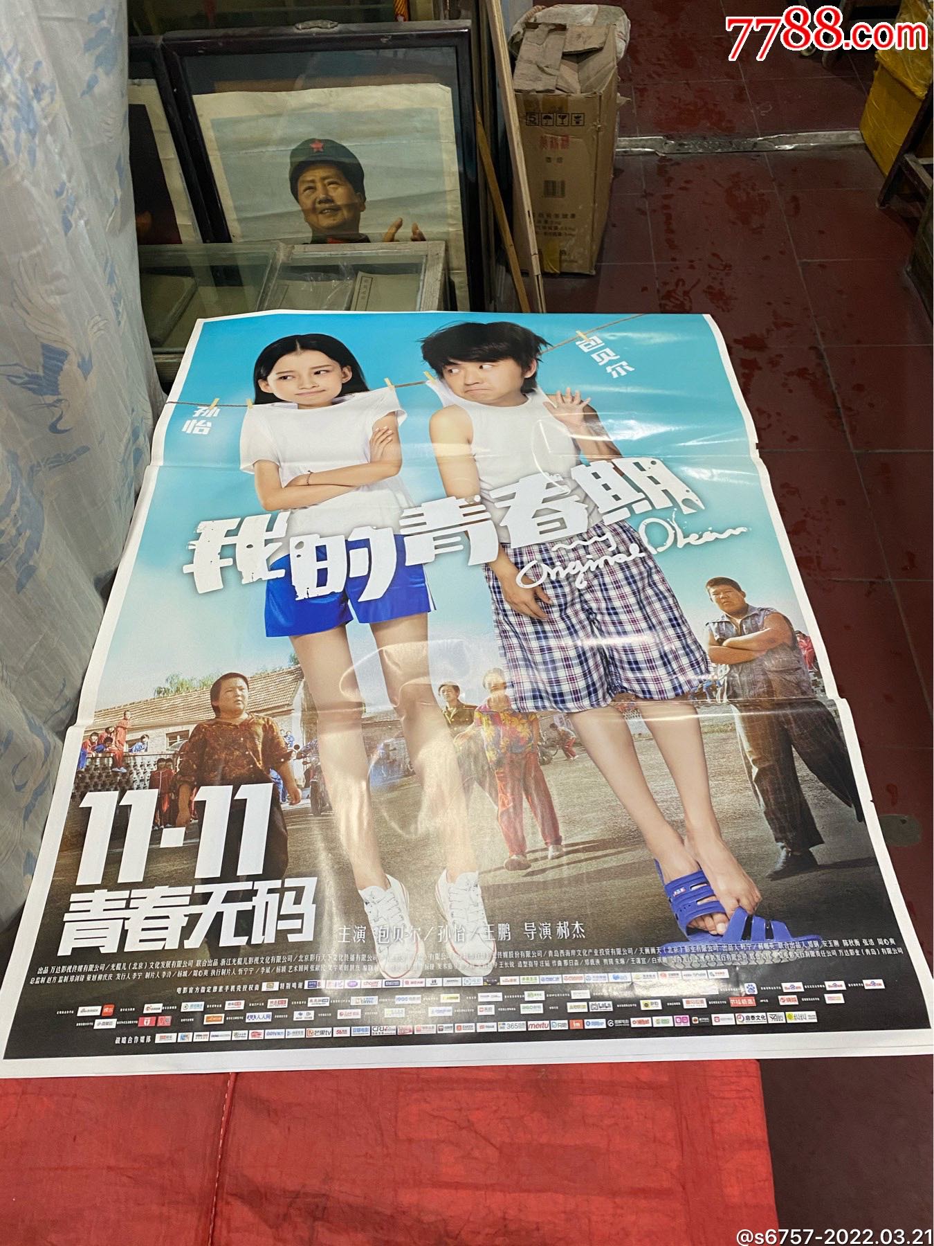 我的青春期全开电影海报