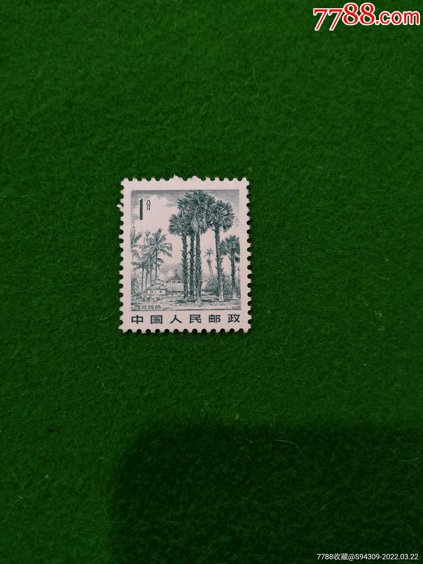 普21祖国风光1分西双版纳