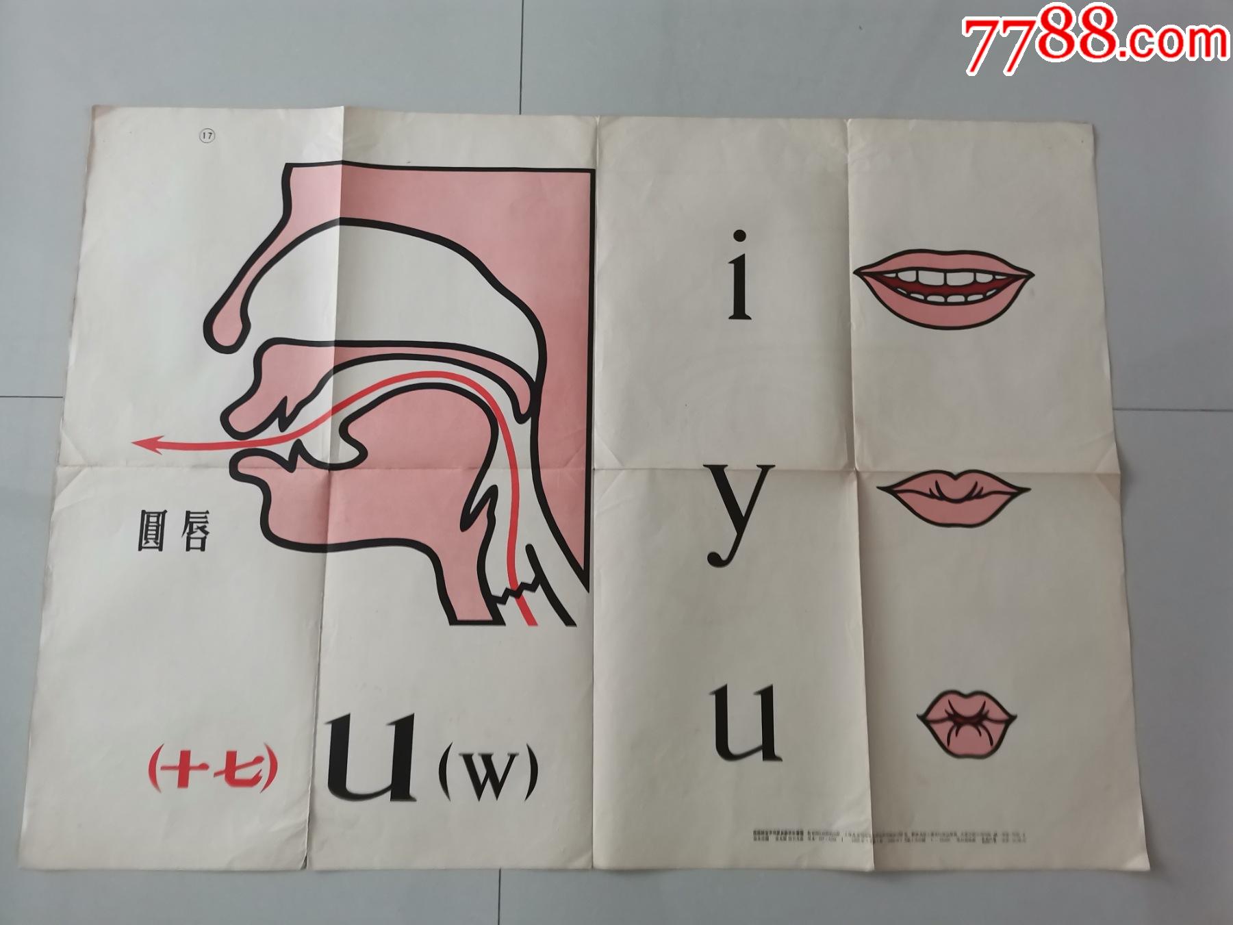 汉语拼音字母发音教学示意图171956年一版一印