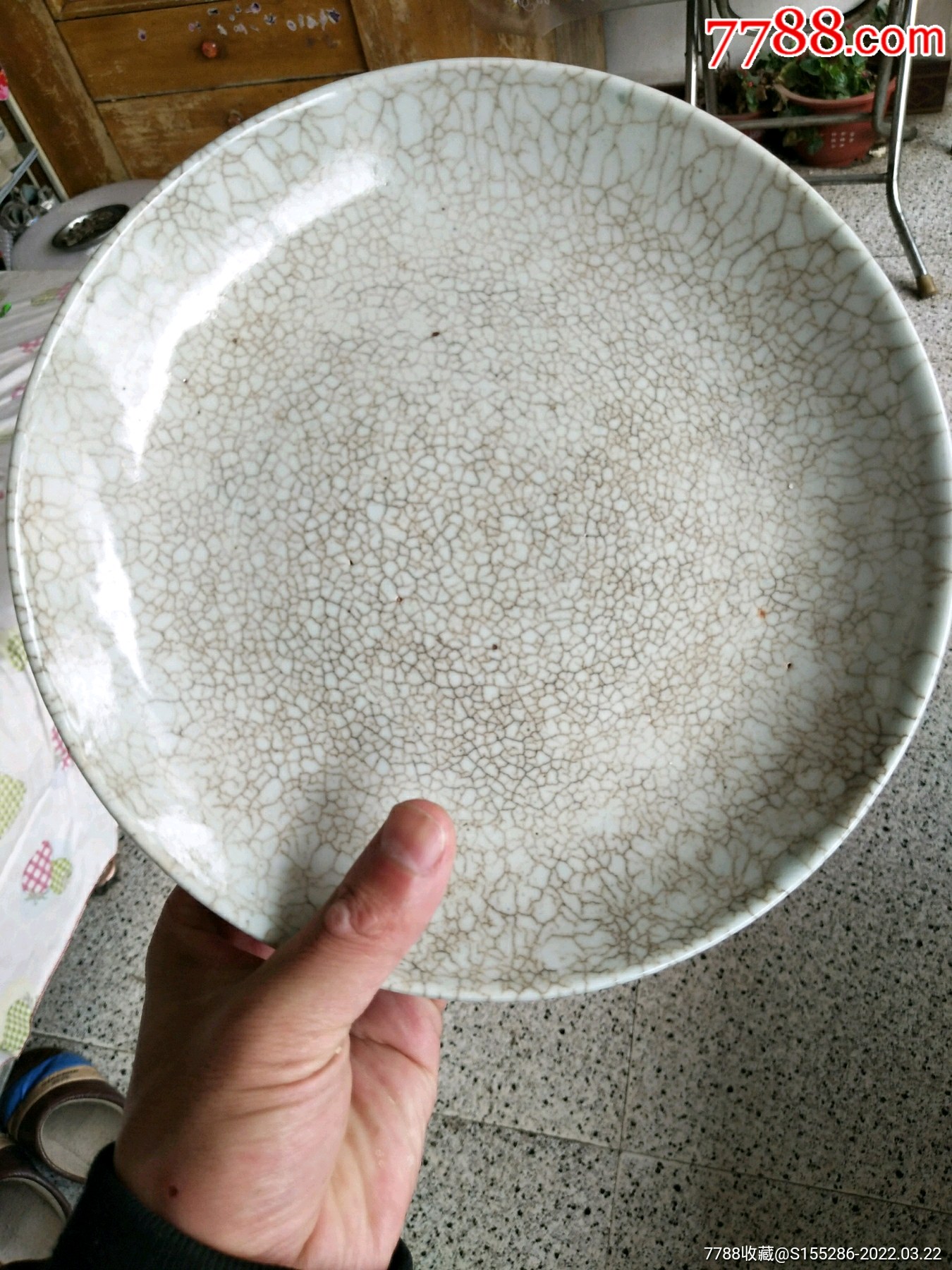 清代哥釉盘子,直径21.
