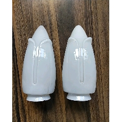 玉兰花玻璃灯罩(se86092803)_7788收藏__收藏热线