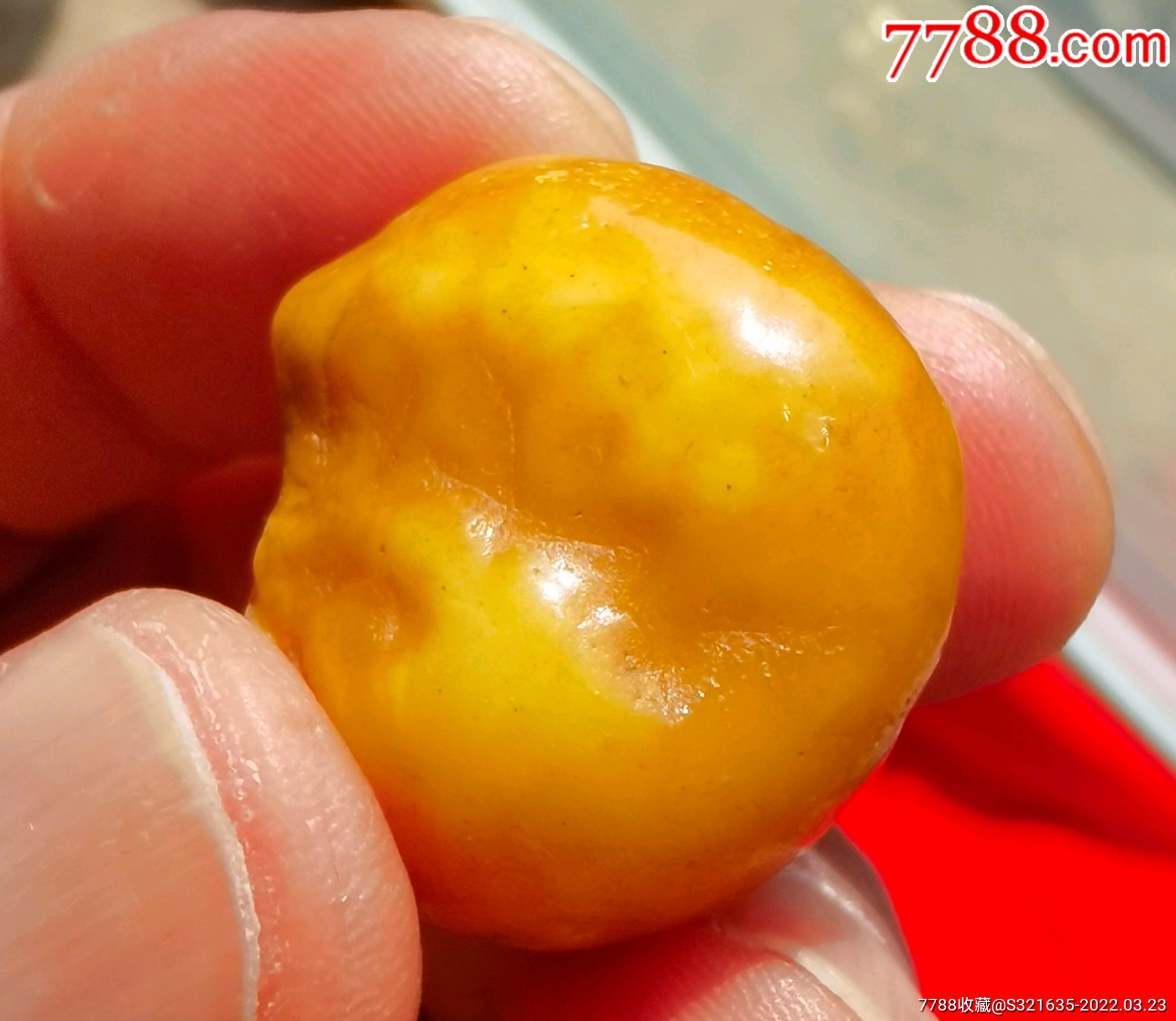 蜜蜡海漂子一棵