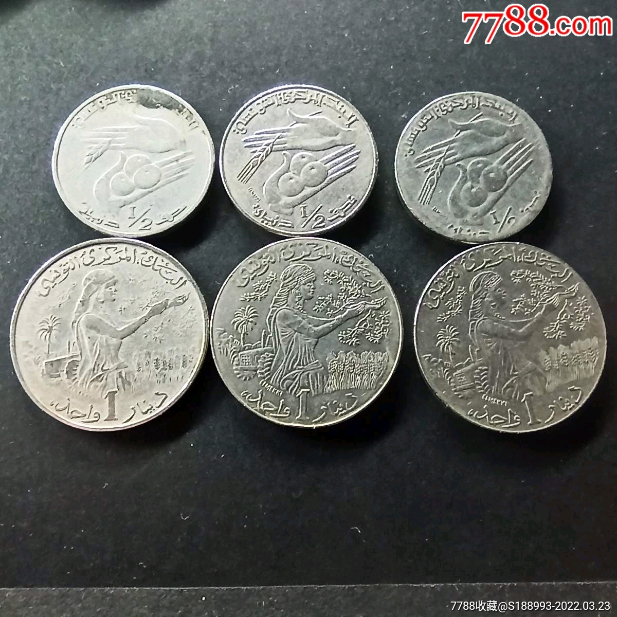 突尼斯硬币13枚