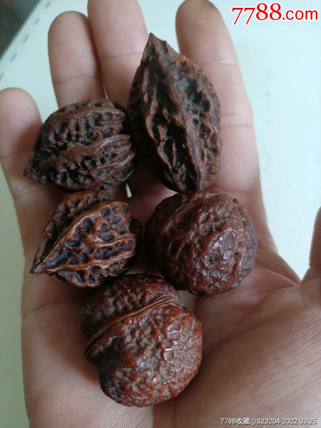 小巧楸子核桃2对5个