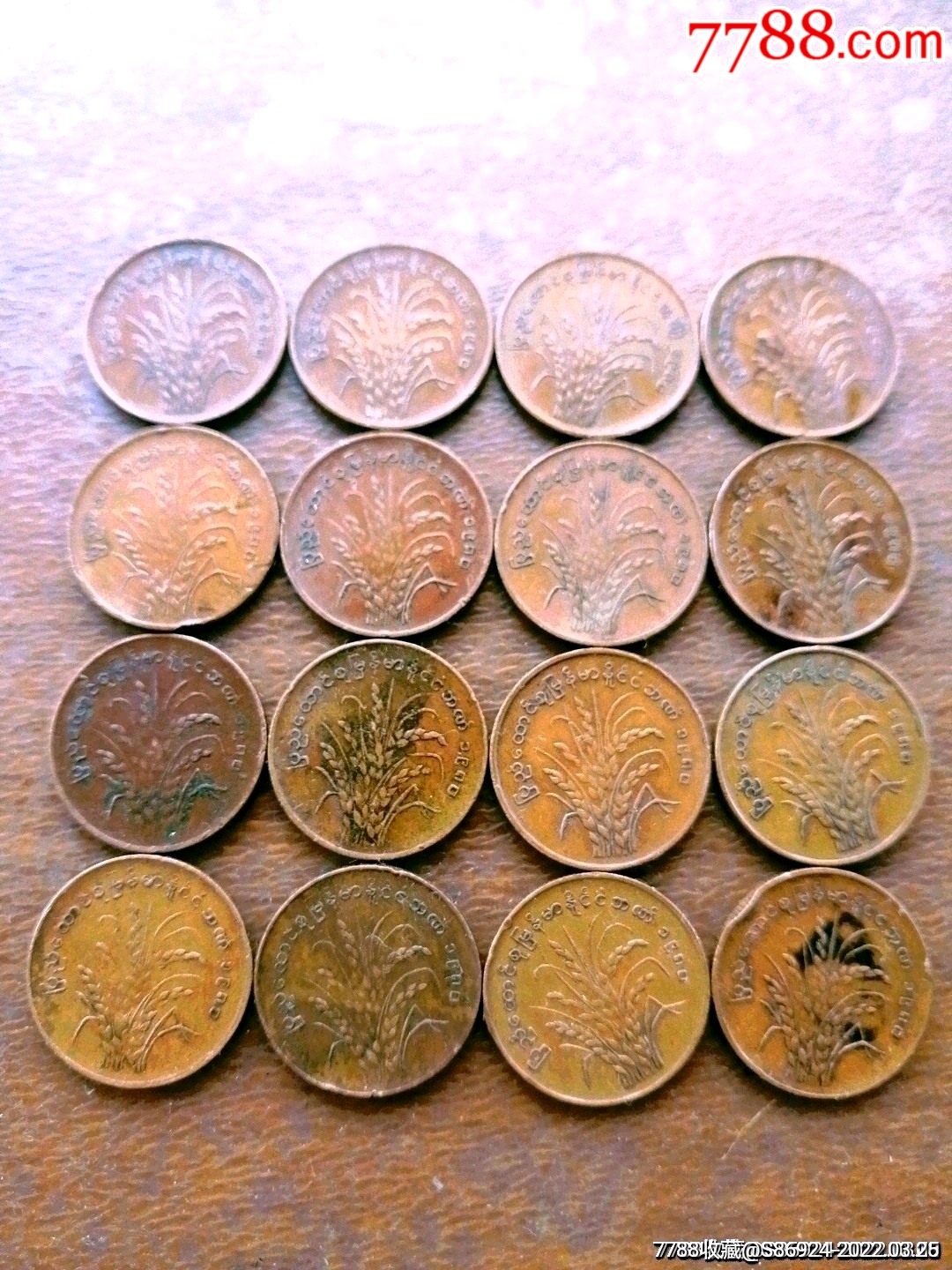 缅甸硬币图片大全图片