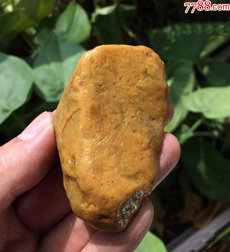 老坑昌化田黄冻石58克