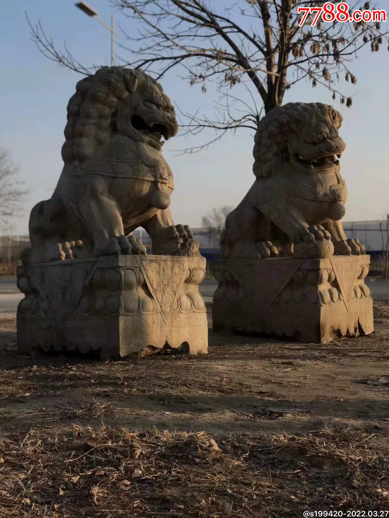 石狮/石雕塑_收藏价格_鉴定交易_7788瓷器网