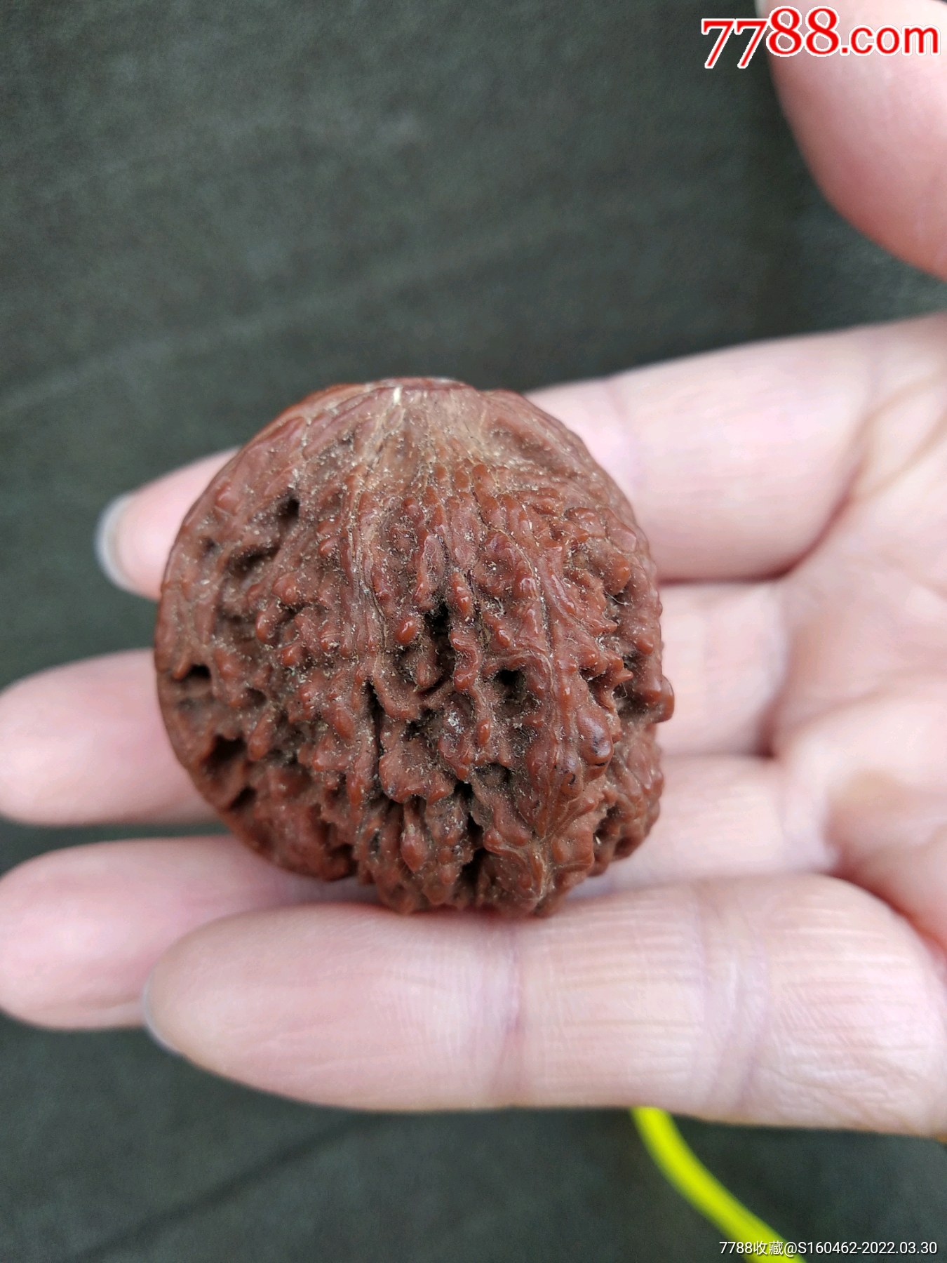 天然野生文玩核桃