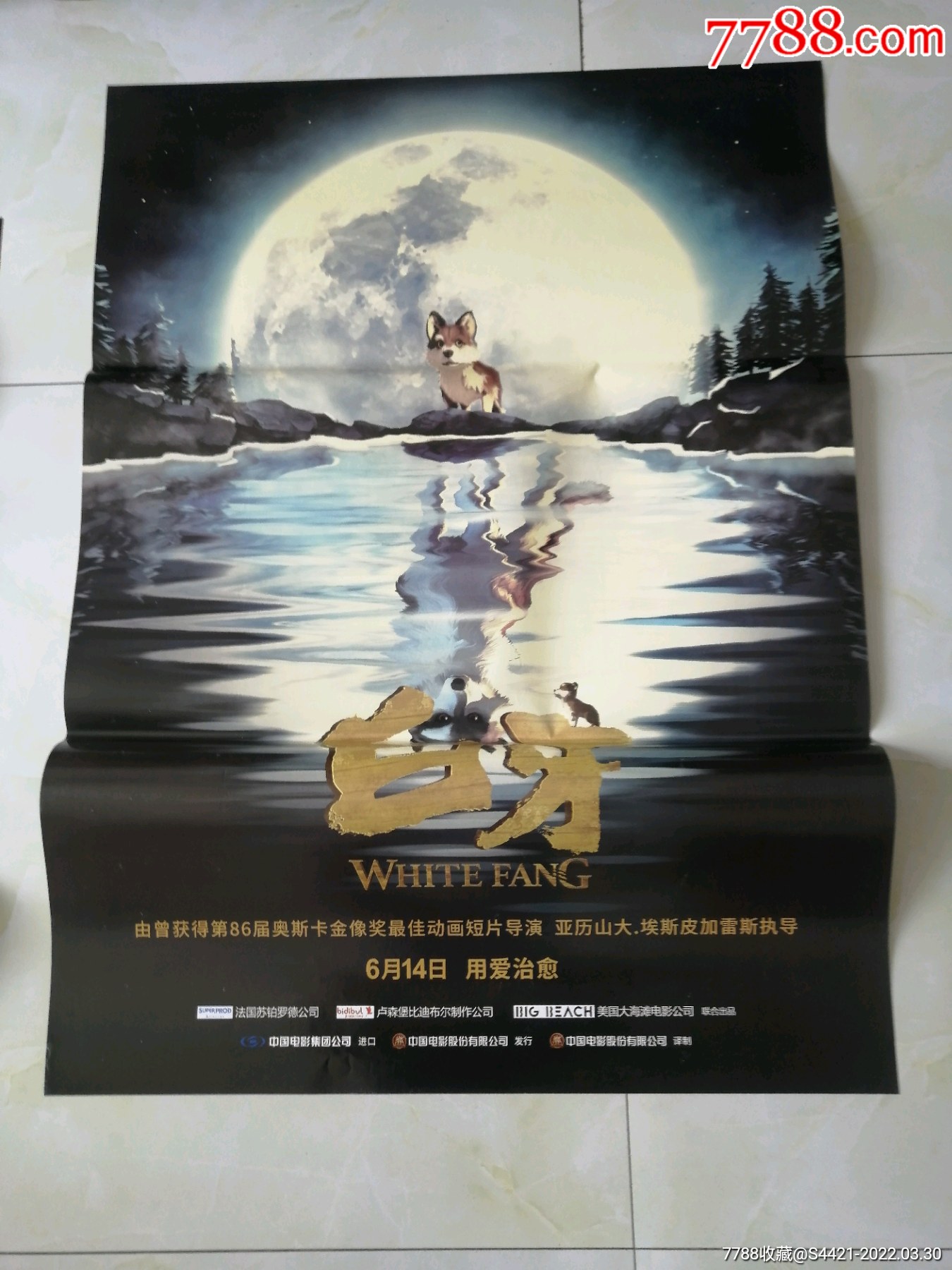 白牙_电影海报_万龙聚宝阁【7788收藏__收藏热线】