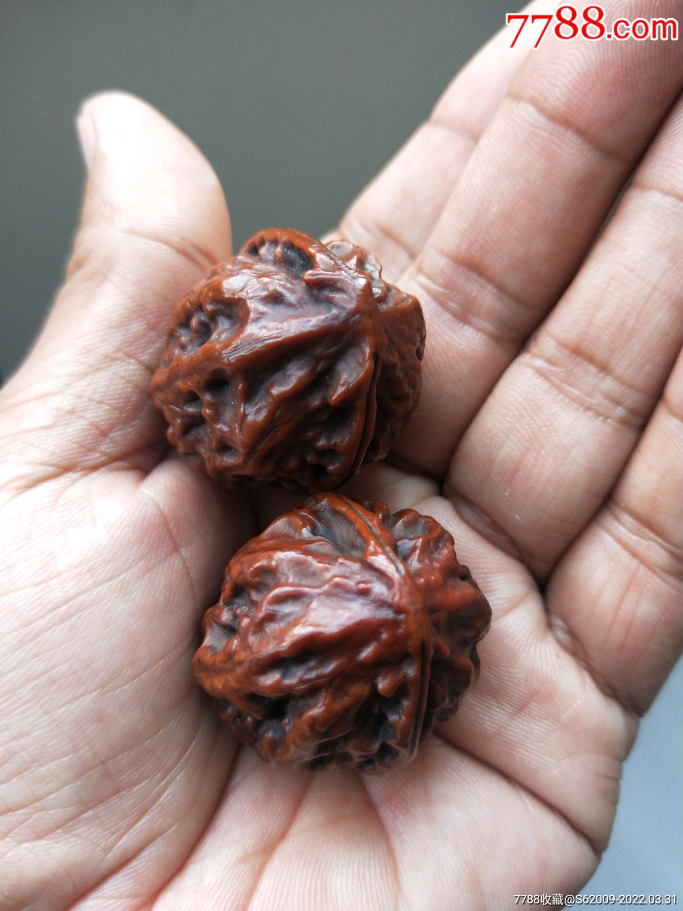 好品老秋子核桃一对_文玩核桃_第2张_7788字画网