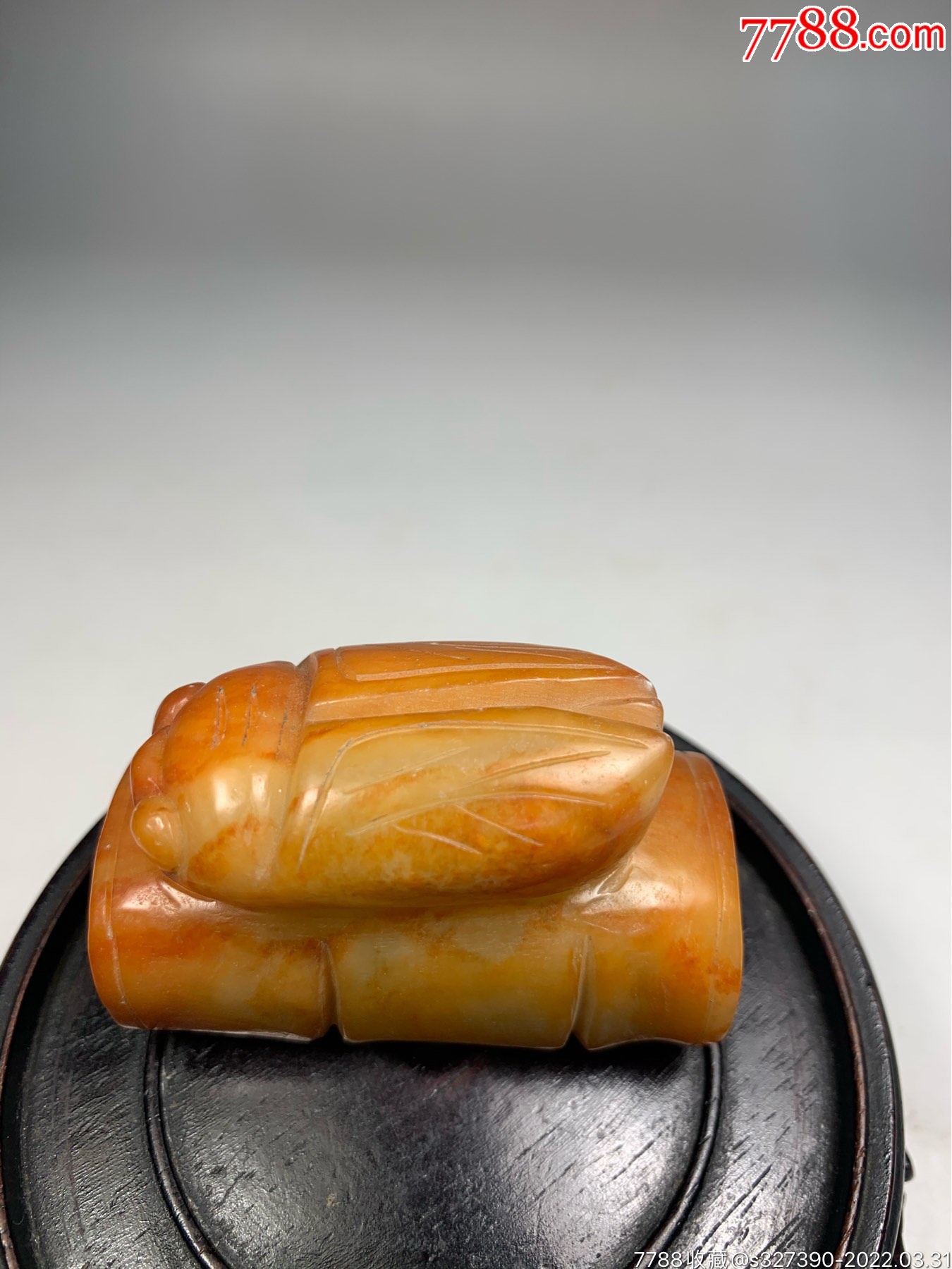 老玉和田玉明清节节高玉蝉