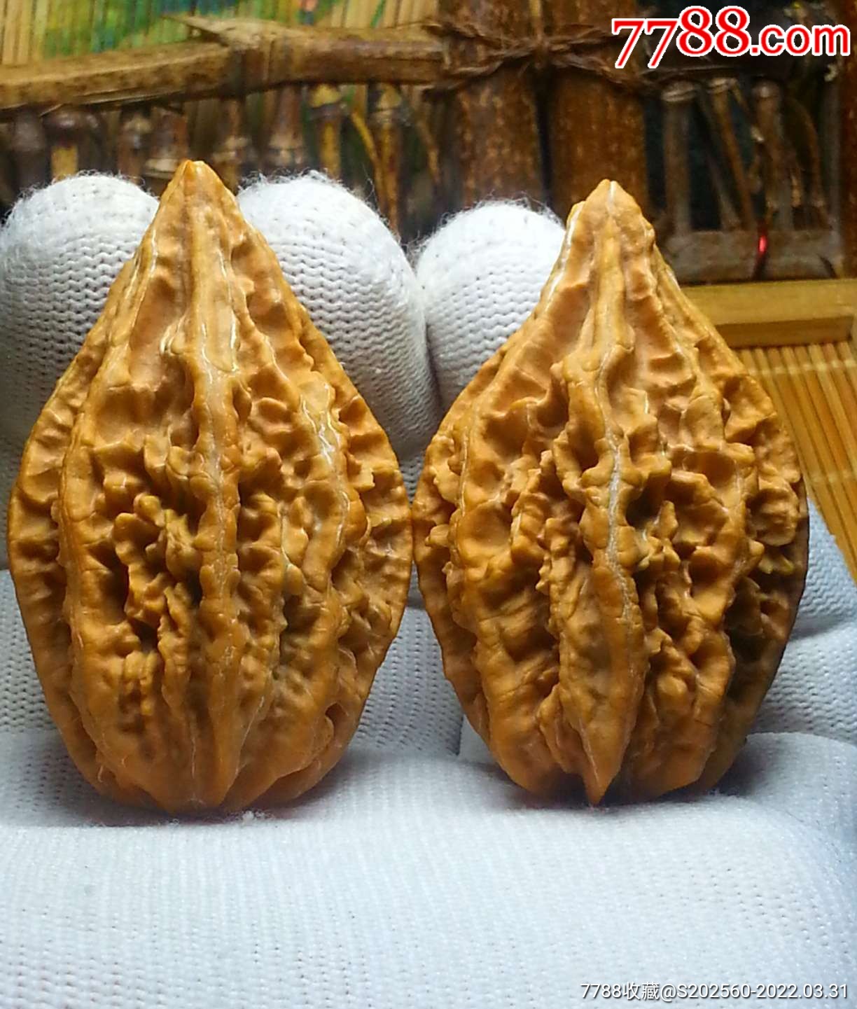 野生绝品珊瑚纹通天塔楸子核桃手把件34020