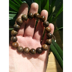 恐龙化石手串(se86277821)_7788收藏__收藏热线