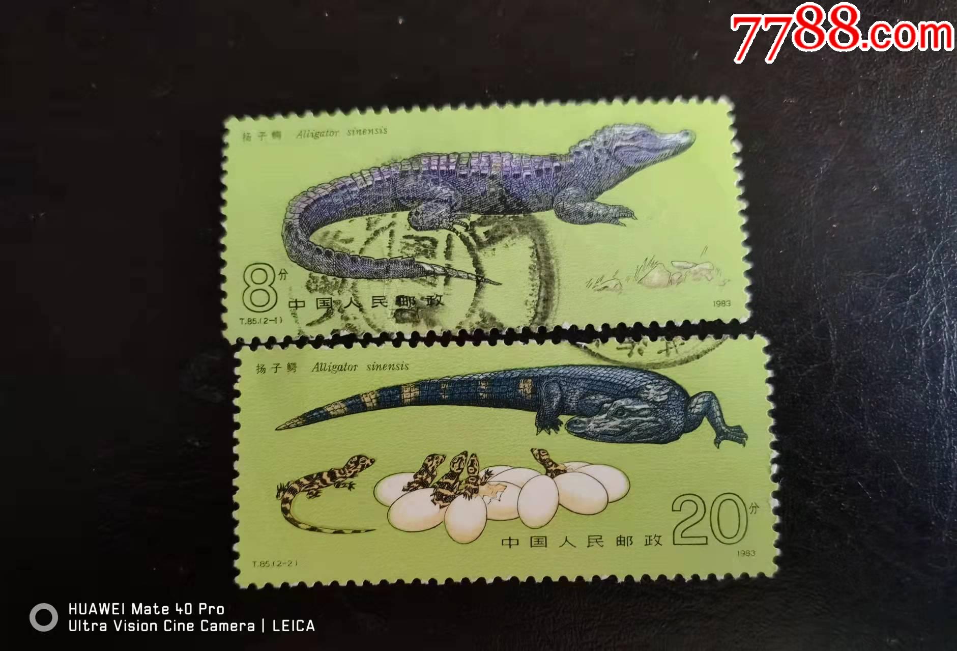 t85信销套票_新中国邮票_东洲邮苑【7788收藏__收藏热线】