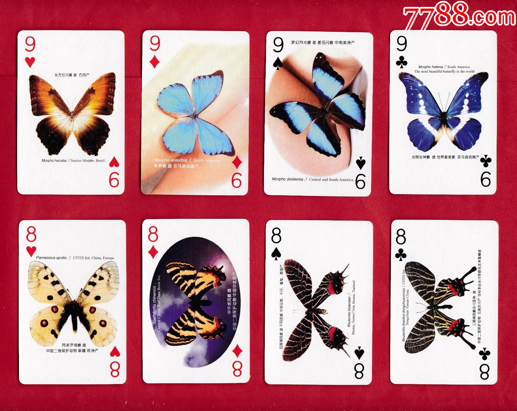 蝴蝶扑克_扑克牌_第7张_7788钱币网