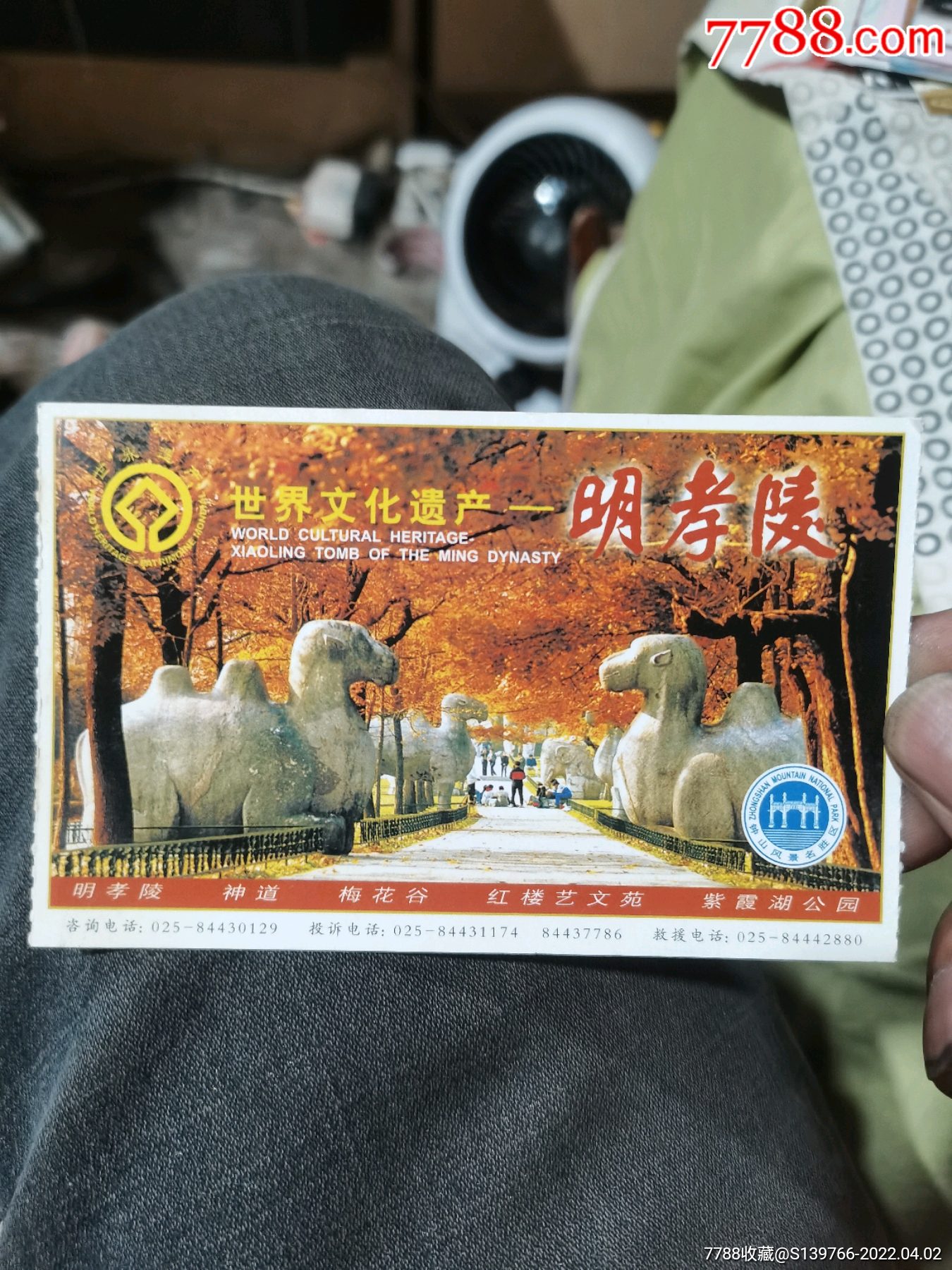 明孝陵_旅游景点门票_柔男温丝莱特【7788收藏__收藏热线】
