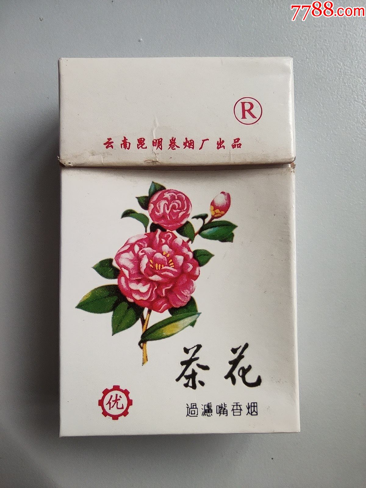 茶花焦17